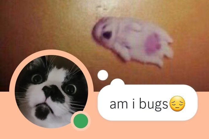beanbearrito's tweet photo. @myaltfr I made this my discord status like a week ago lmfao https://t.co/8zqkOjkSLd