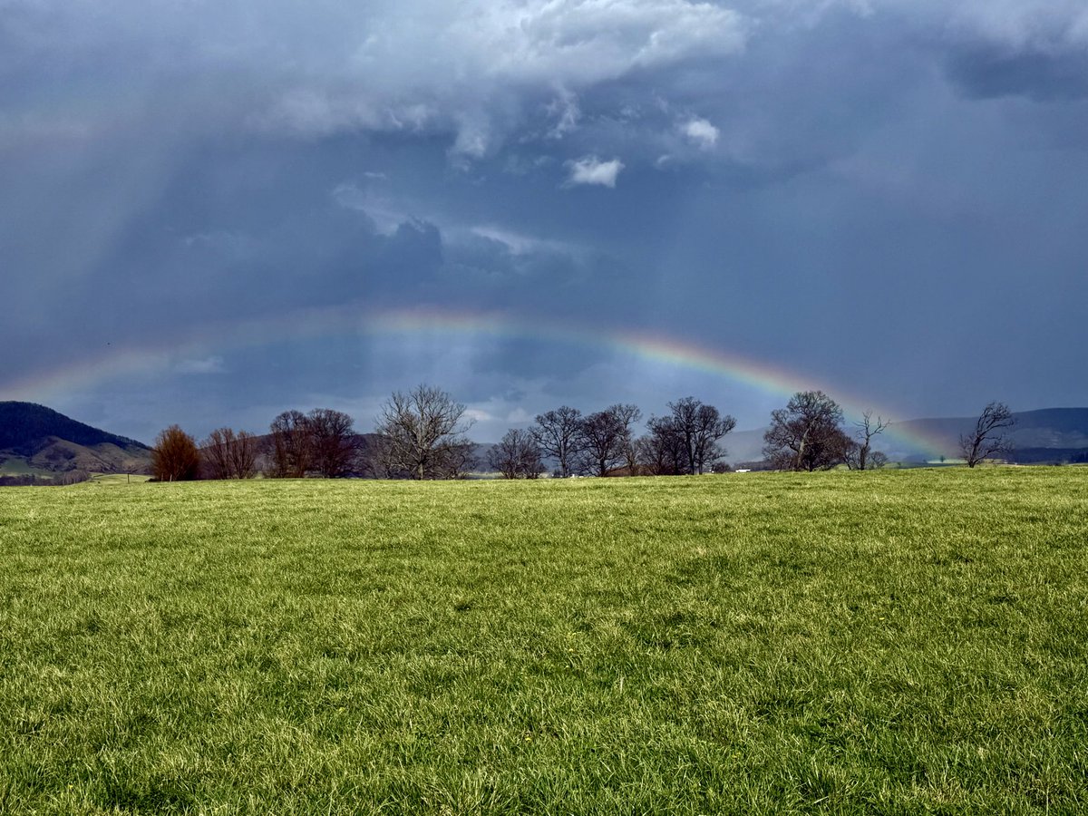 The Appalachian Podcast tweet media