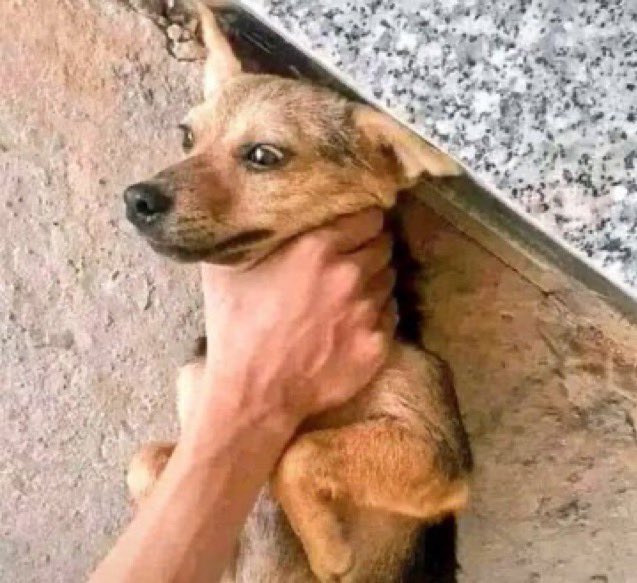 Br3tuo_II tweet media