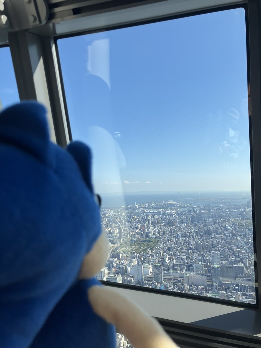 DarkBlueJustice's tweet photo. Sonic getting a nice view of Tokyo from the top of Skytree. 
ソニックはスカイツリーの展望台から全部の東京が見えます。
景色はいいですね。
#SonicTheHedgehog #sega #skytree #ソニック #セガ #スカイツリー #ソニカツ @SonicOfficialJP @SEGA_OFFICIAL https://t.co/Vus4EOUjaj
