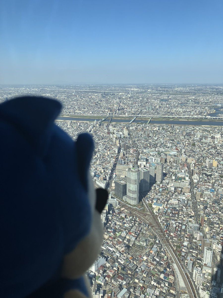 DarkBlueJustice's tweet photo. Sonic getting a nice view of Tokyo from the top of Skytree. 
ソニックはスカイツリーの展望台から全部の東京が見えます。
景色はいいですね。
#SonicTheHedgehog #sega #skytree #ソニック #セガ #スカイツリー #ソニカツ @SonicOfficialJP @SEGA_OFFICIAL https://t.co/Vus4EOUjaj