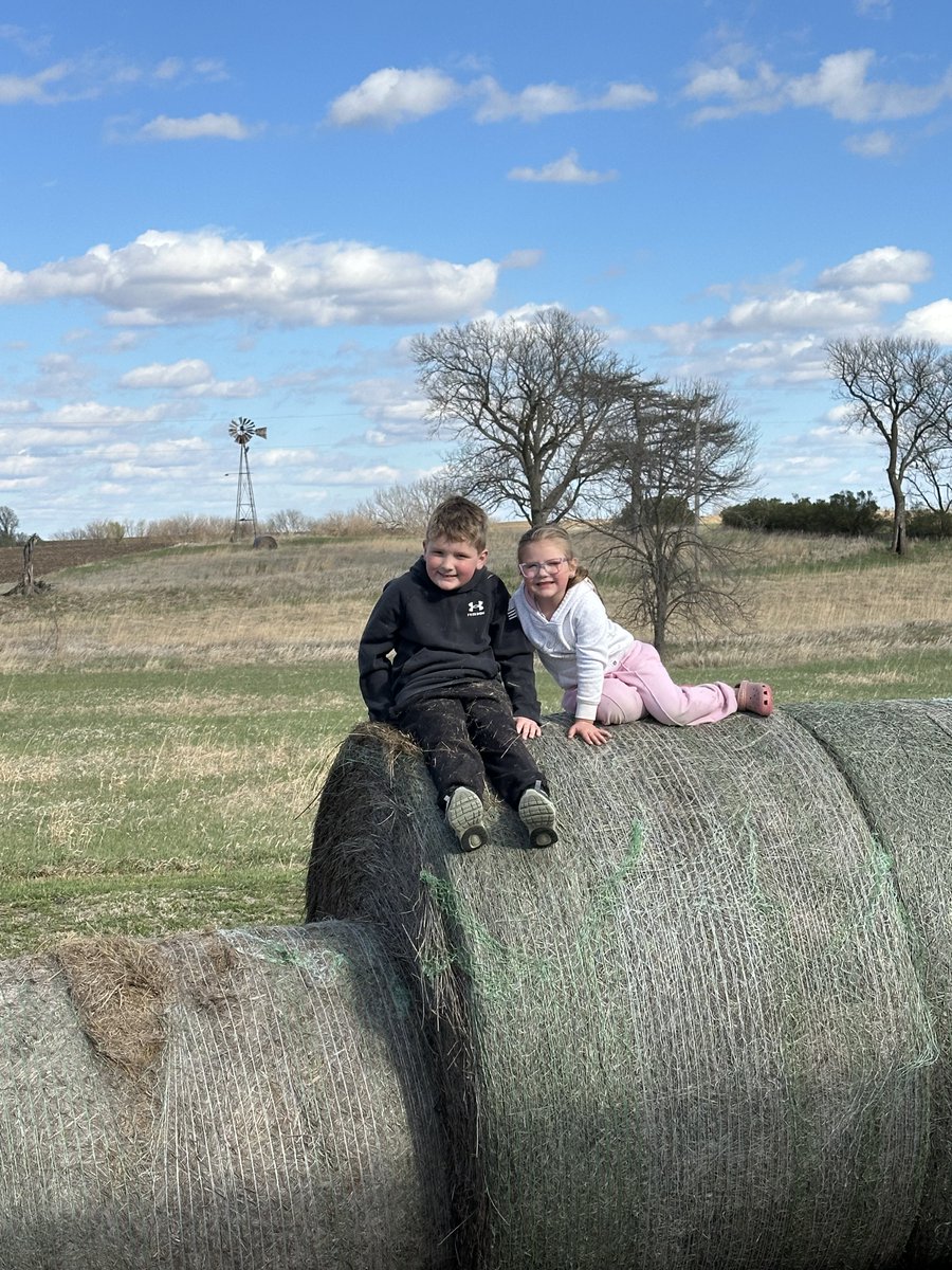 Taylor Jardon tweet media