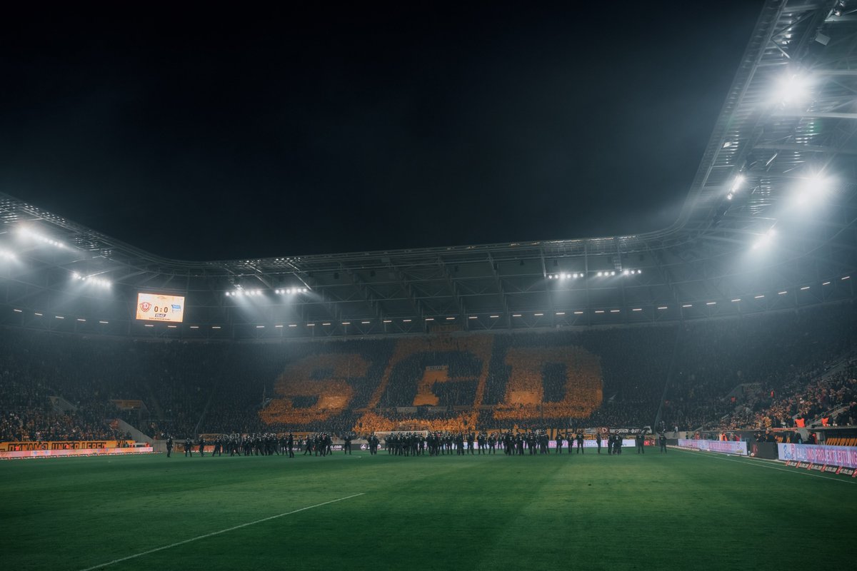 SG Dynamo Dresden tweet media