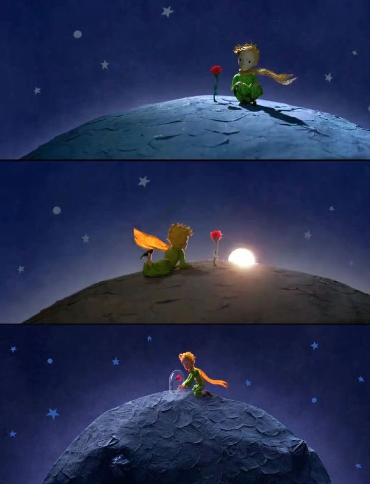 لمياء🌸 tweet media