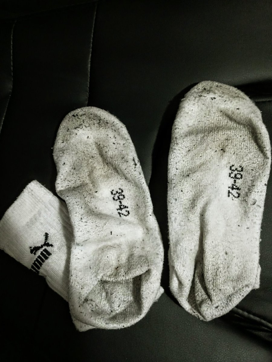 Master Dominik tweet media