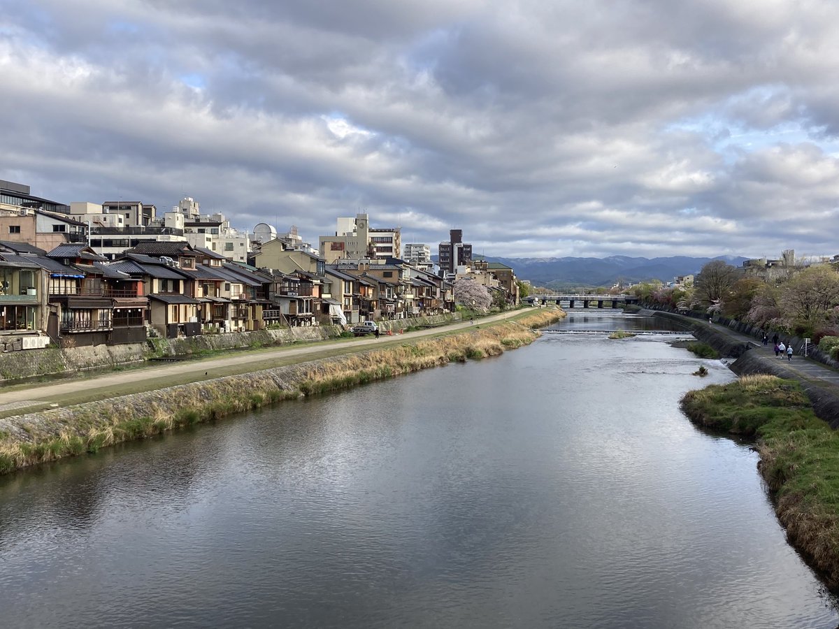 ぴーすけ tweet media