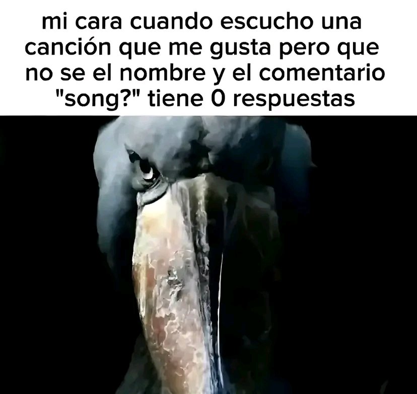 🎄❄️ Renma ❄️🎄 tweet media