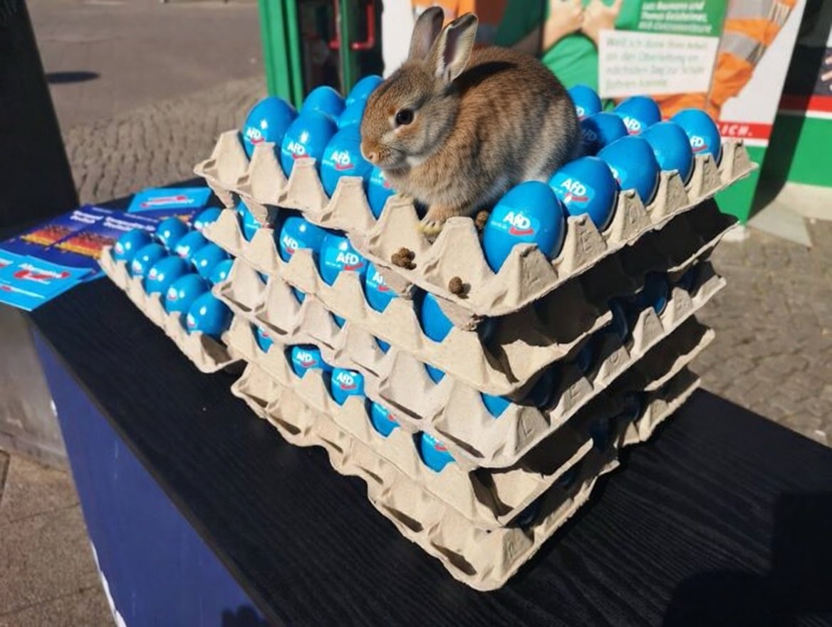 ✝️David Wang tweet media