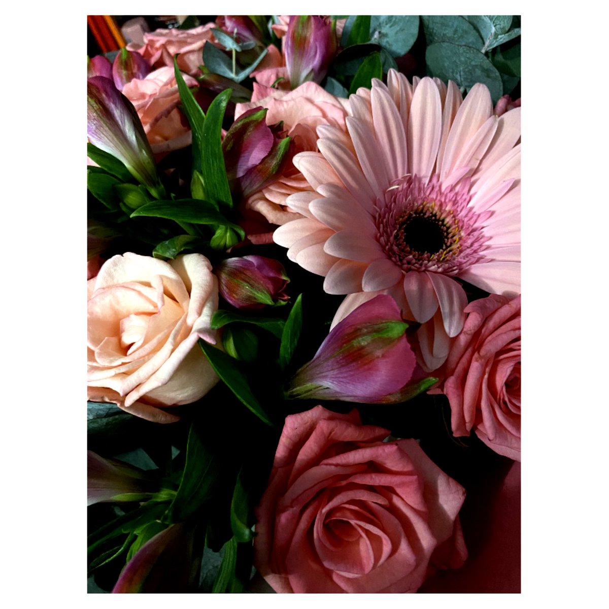 вот и прошел еще один год ✨