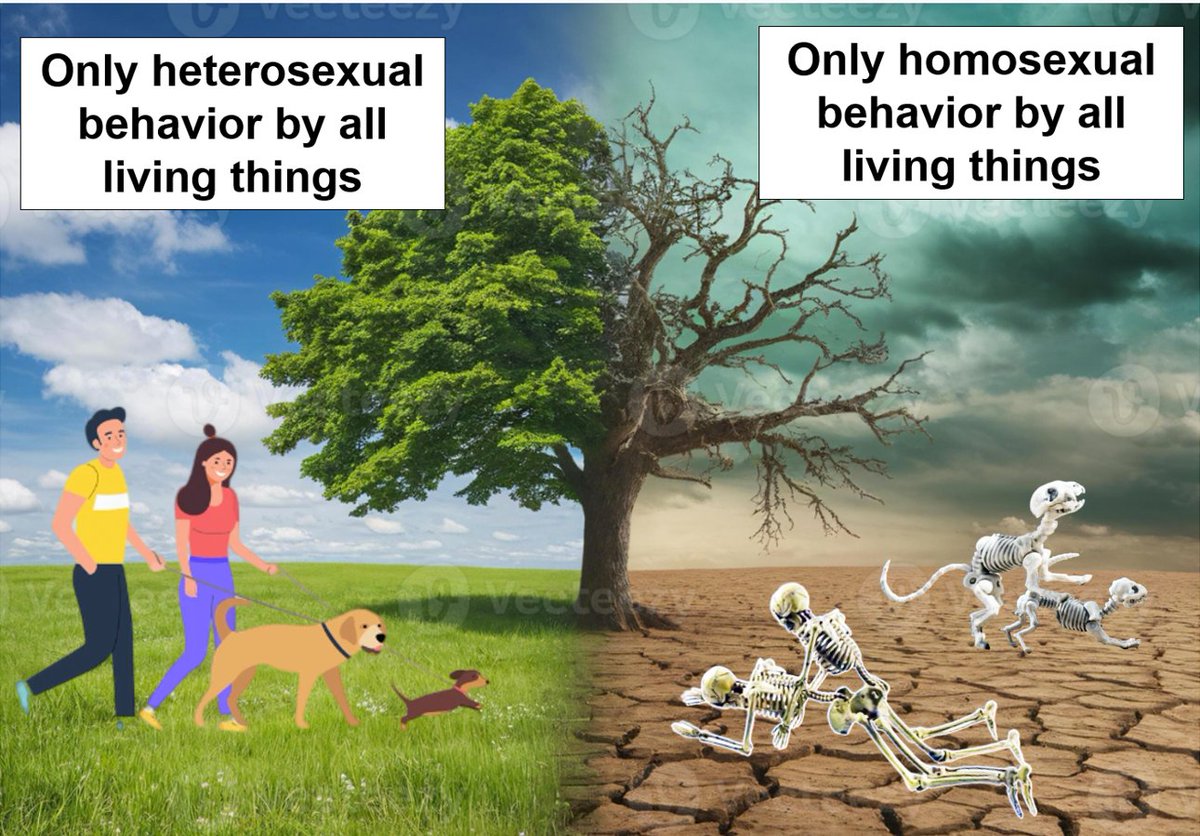 Mr. Sickness tweet media