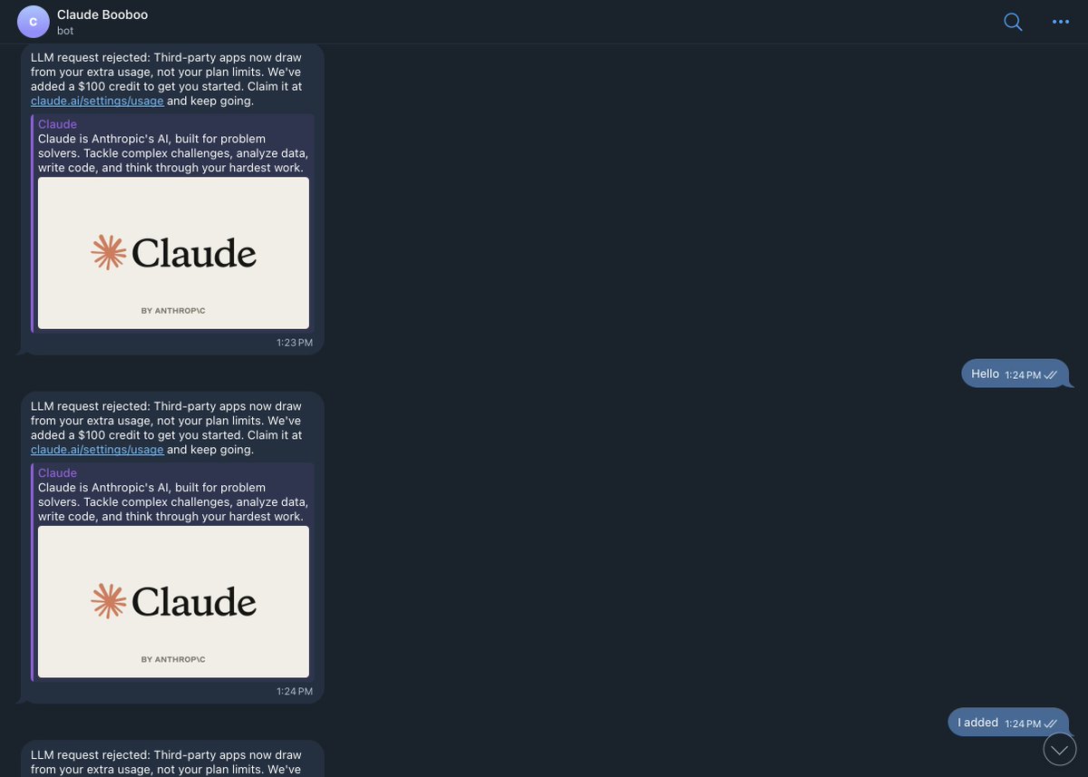 jeesun 지선 🇰🇷🇺🇸 tweet media