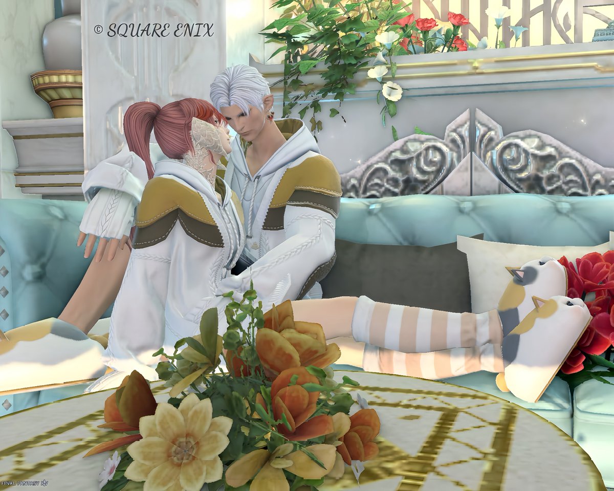 小次郎ar6:🦄 tweet media