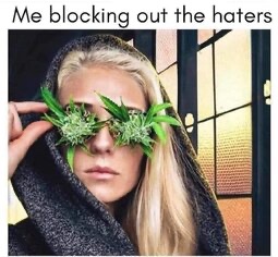 DaSkinnyGuy tweet media