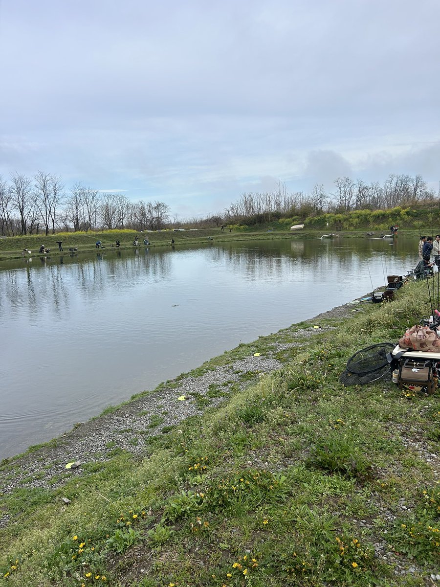 タカマサ tweet media