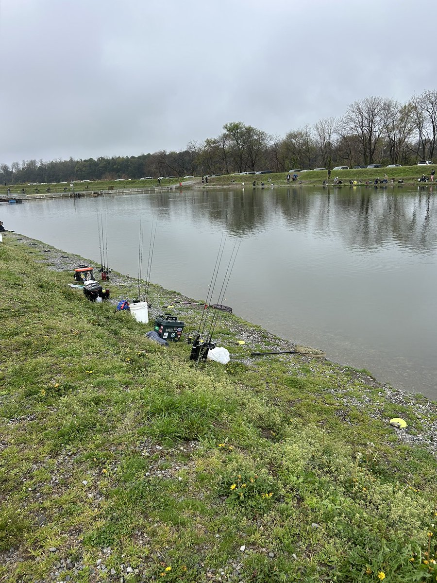 タカマサ tweet media