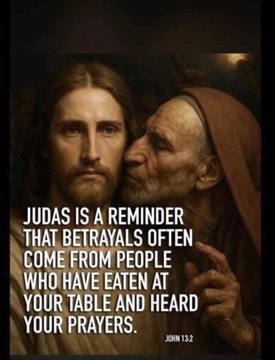 TheLizVariant tweet media