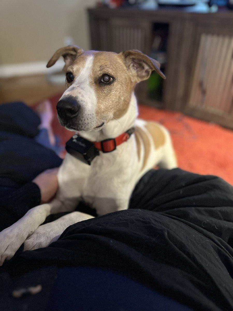 Mamacita tweet media