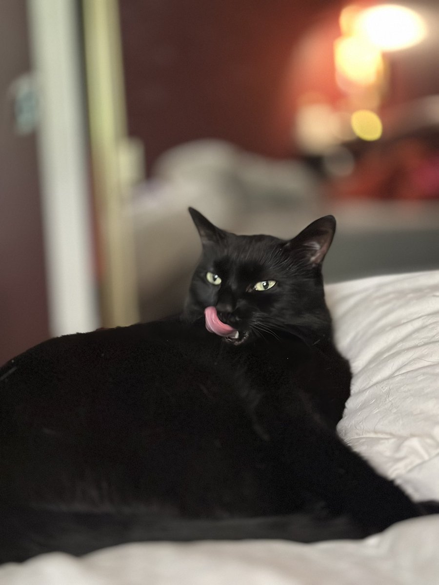 Mamacita tweet media