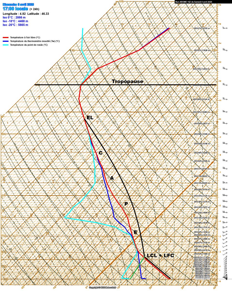 Tropo Profil tweet media