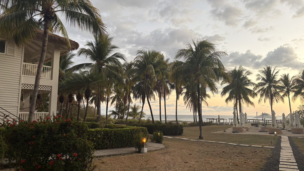 Daniel Chacón tweet media