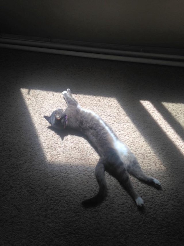 KraemerSeven tweet media