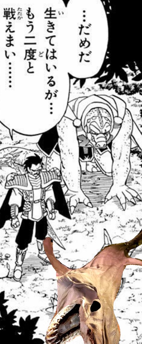 フカ🦈 tweet media