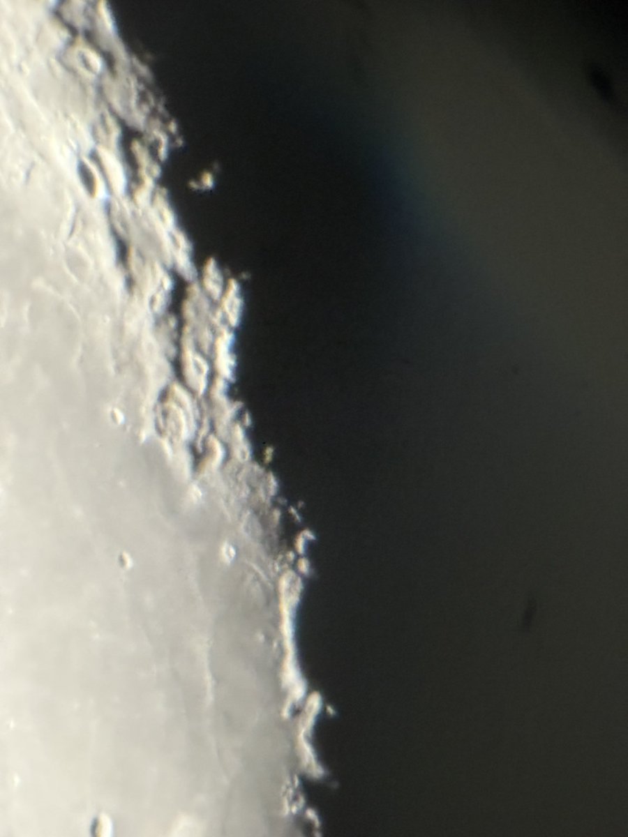 Rob H 🏴󠁧󠁢󠁥󠁮󠁧󠁿🇬🇧 tweet media