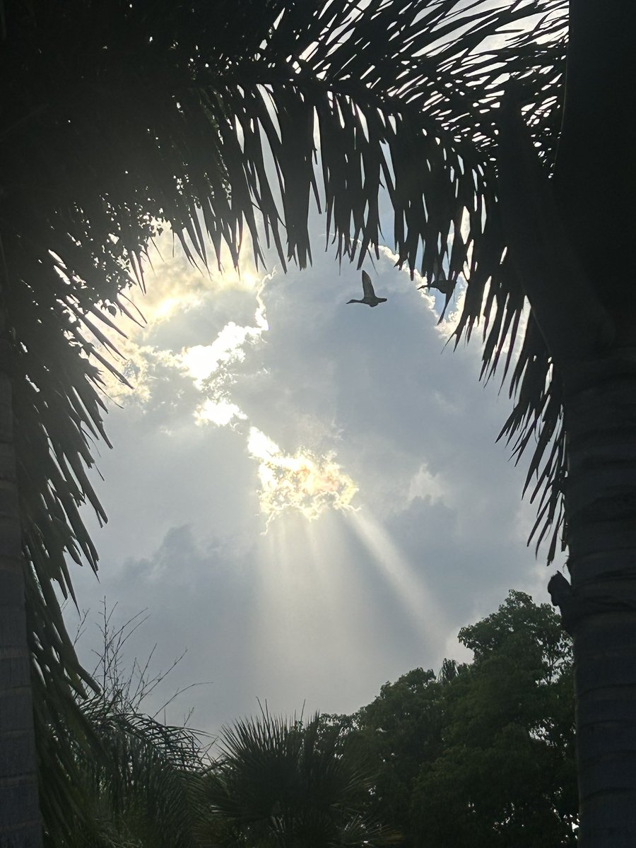 Nonentity. tweet media