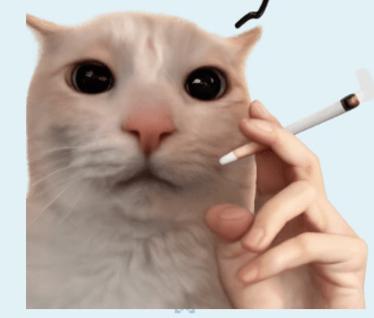 しのみや tweet media