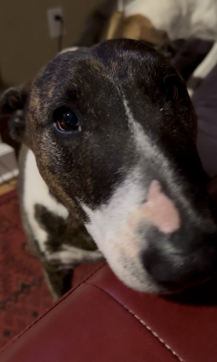 Mamacita tweet media