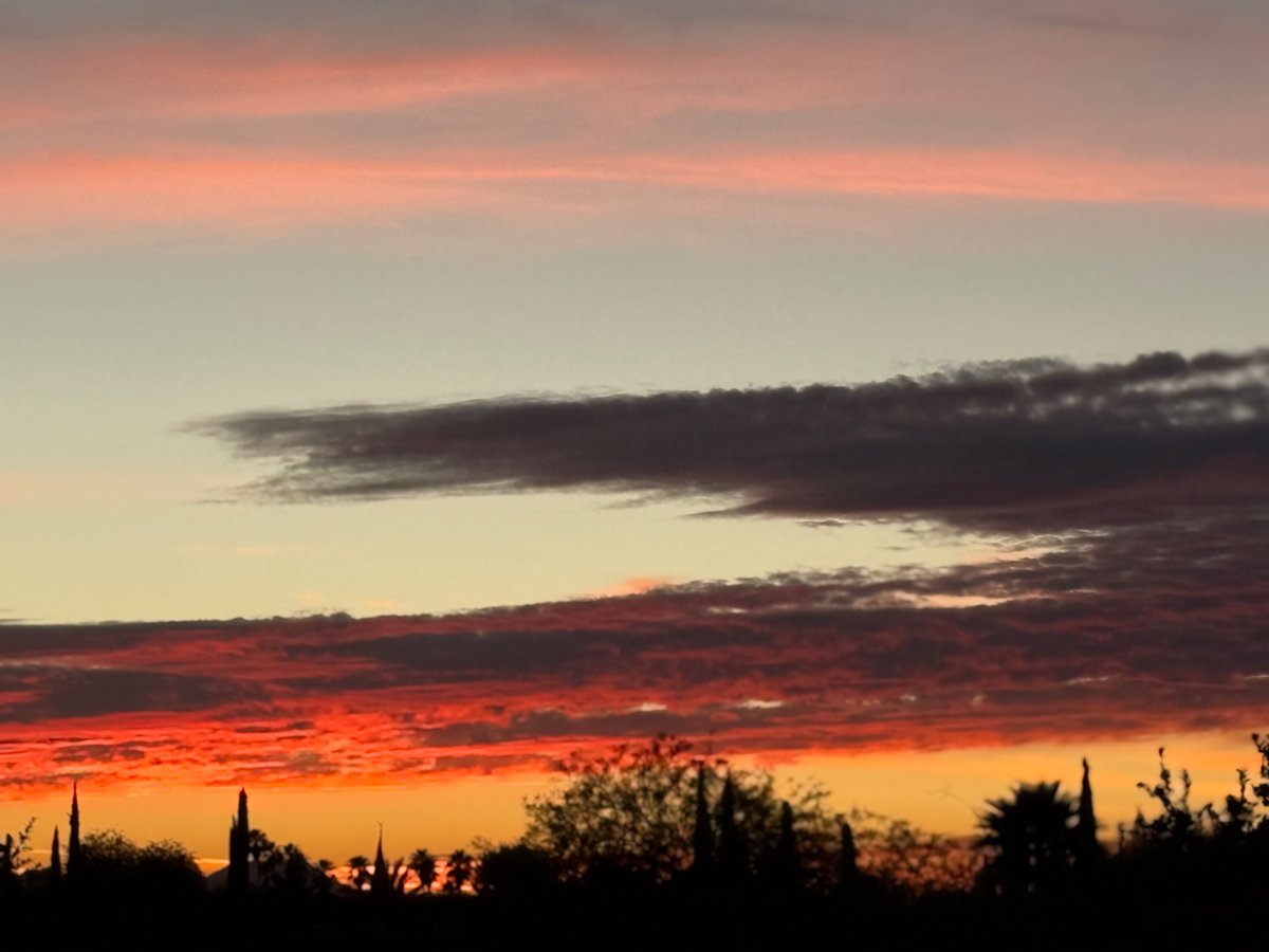 Dr. C 🇰🇪 🇹🇿 🇺🇸 tweet media