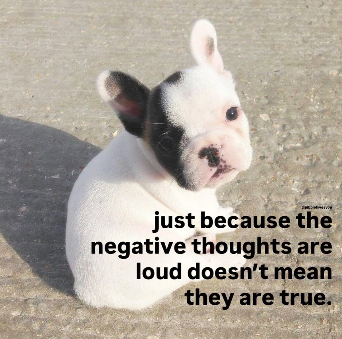 Star Slop tweet media