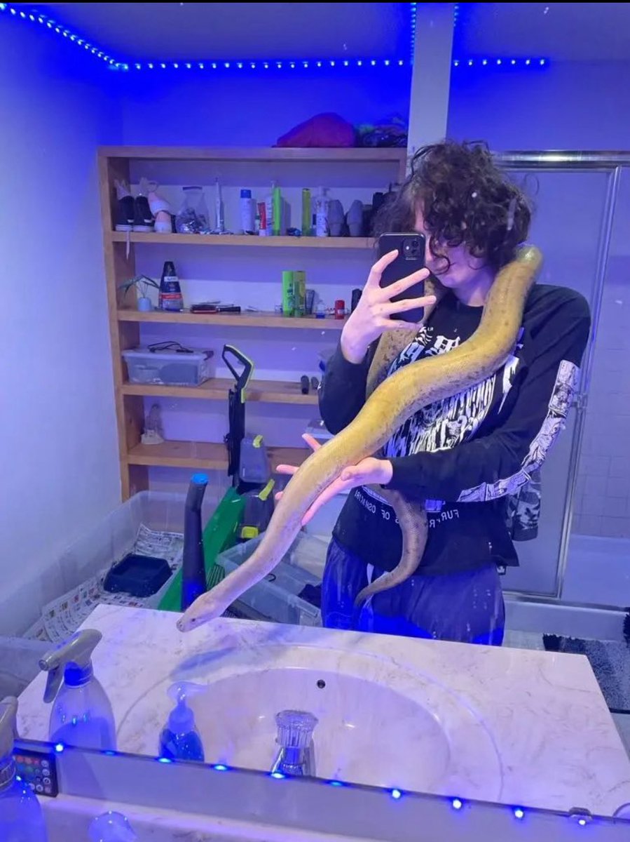 🏳️‍⚧️ Lalka the doll 🇵🇱 tweet media