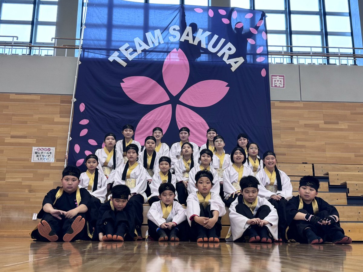 TEAM SAKURA tweet media