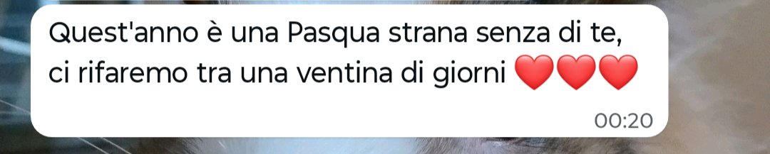 ClauCia.Co tweet media