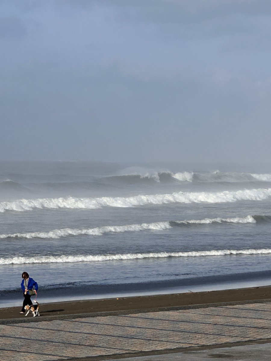 HULK|サーフィン30年|民泊★5.0継続中 tweet media