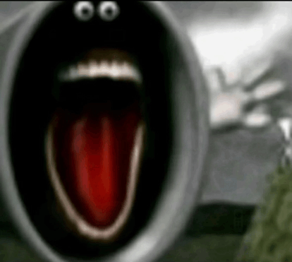 Bingus_Bibi tweet media