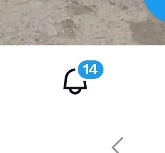 별베라 tweet media