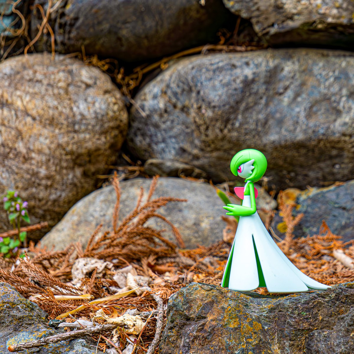 たびねこロック tweet media