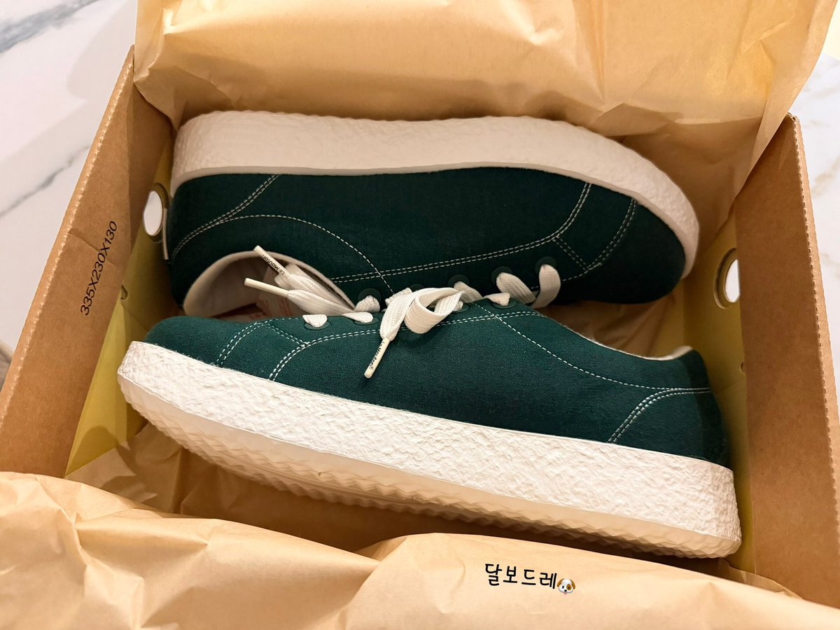 달보드레🐶 tweet media