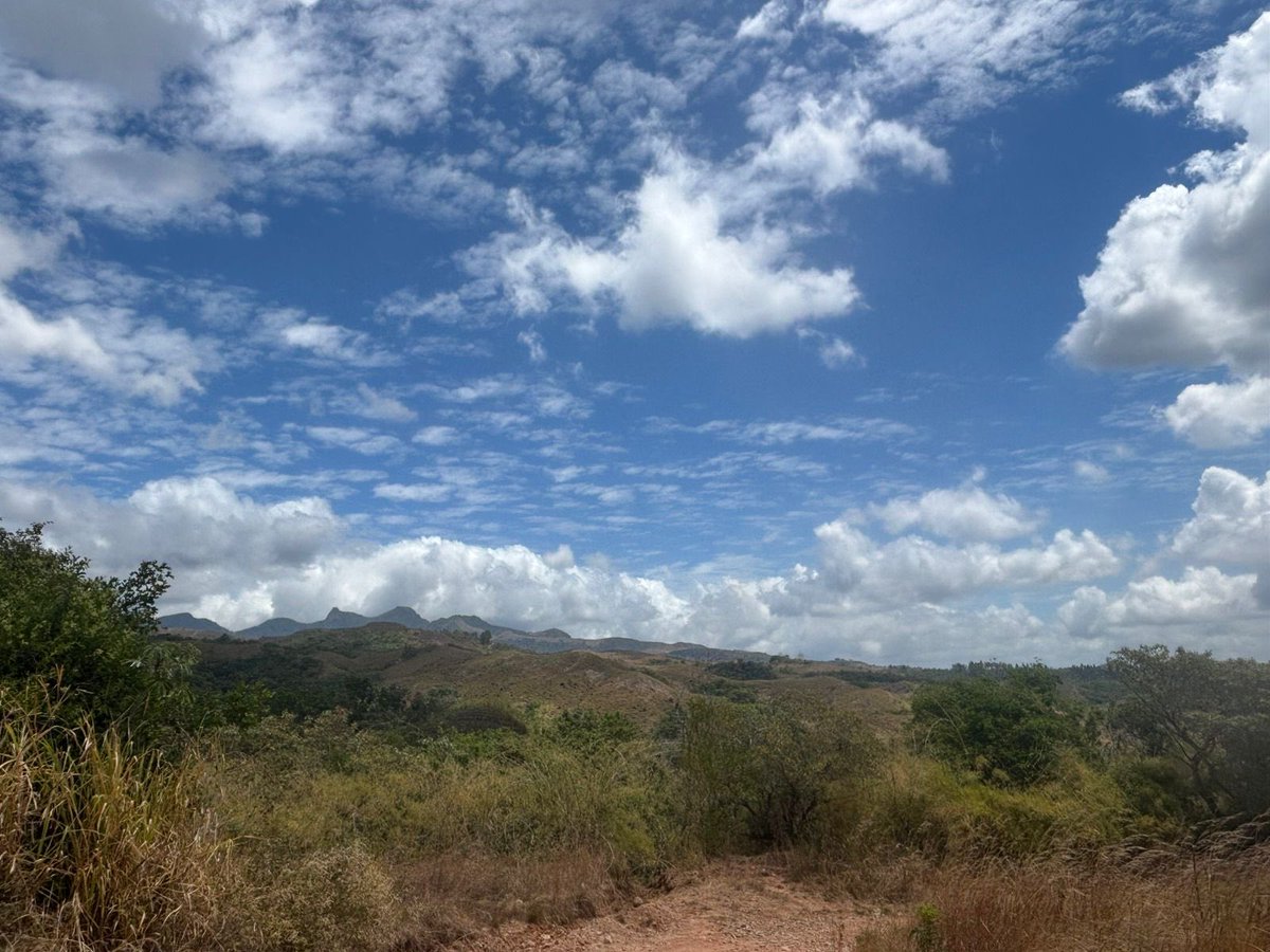 Toby🐻👺 tweet media