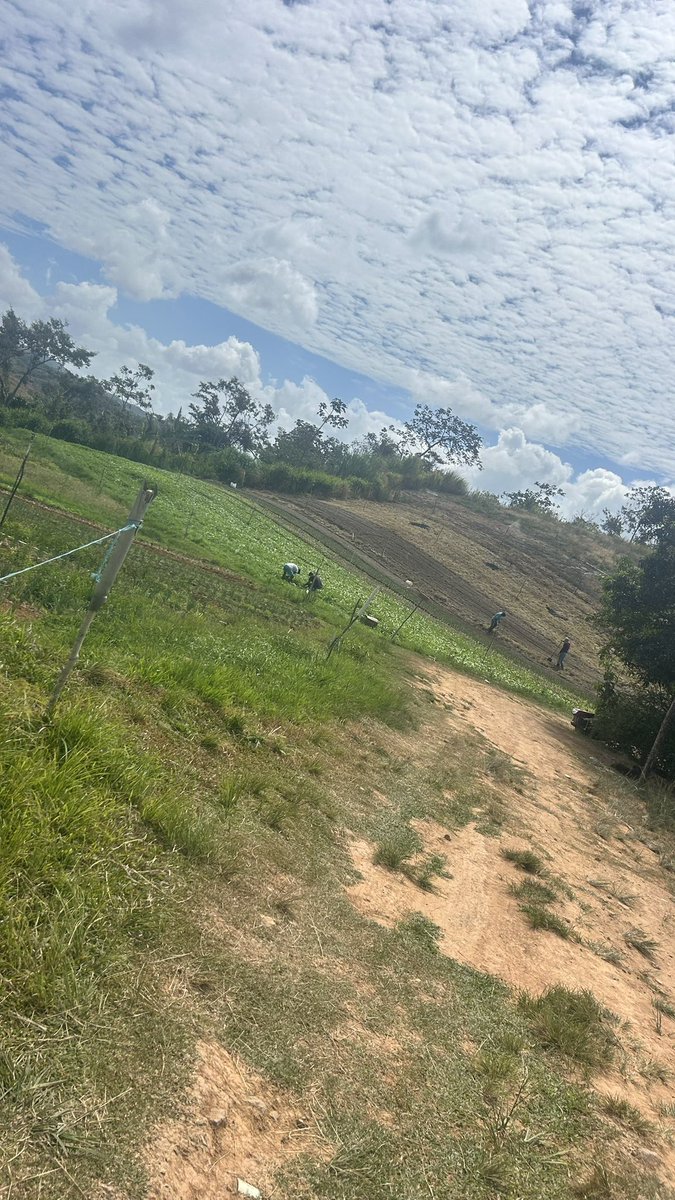 Toby🐻👺 tweet media