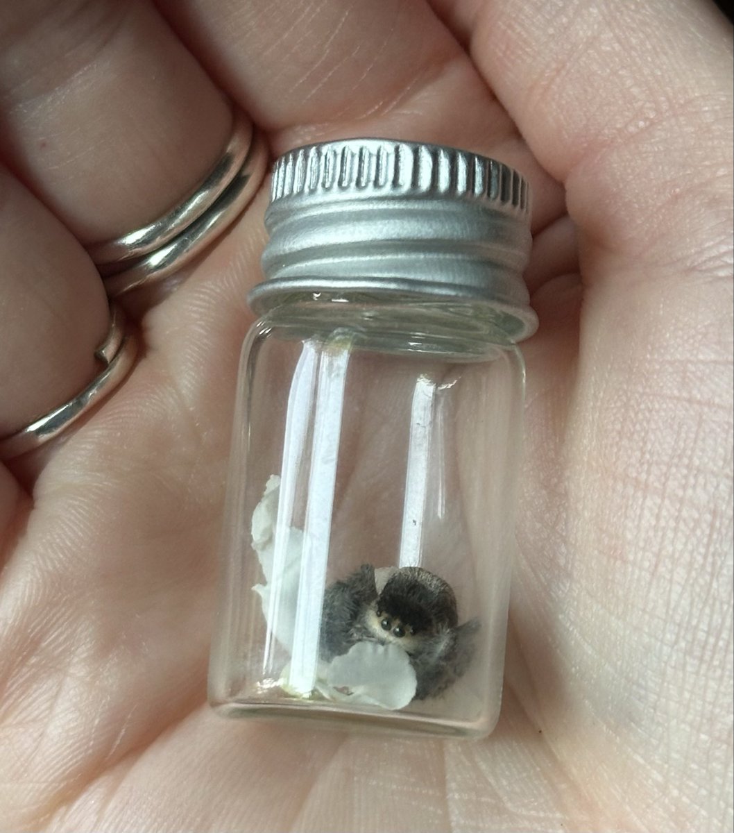 yuria 𖤐 tweet media