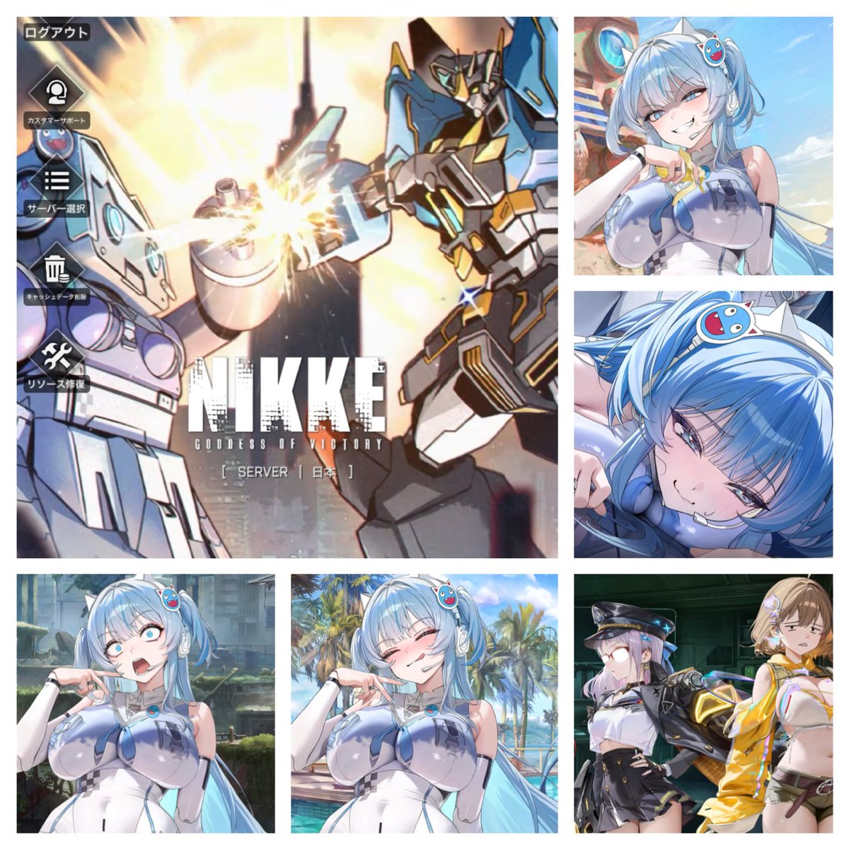 どこかの猫ʕ•ᴥ•ʔ tweet media