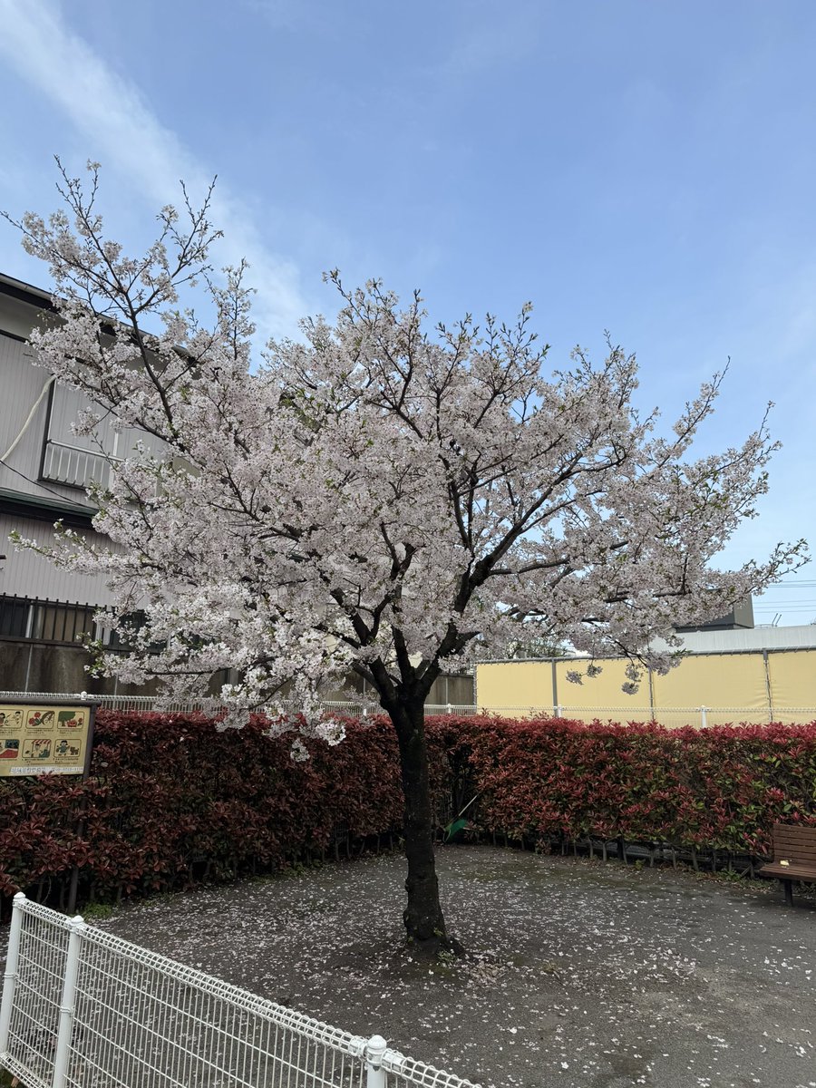 あび【Core/Slay/Maverick】 tweet media