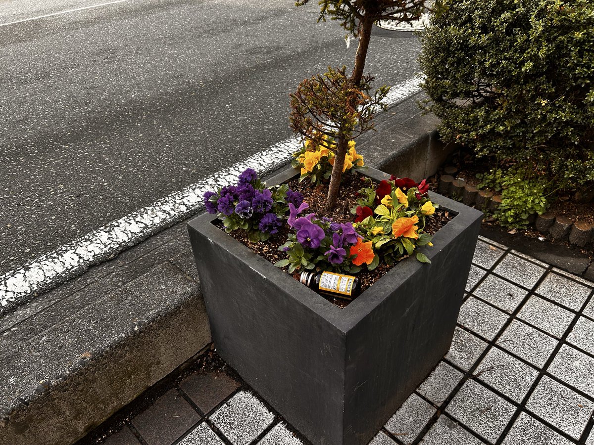 日曜の朝7時を回ってやっとパリピも落ち着いた長野市は善光寺表参道 日曜の朝7時を回ってやっとパリピも落ち着いた長野市は善光寺表参道