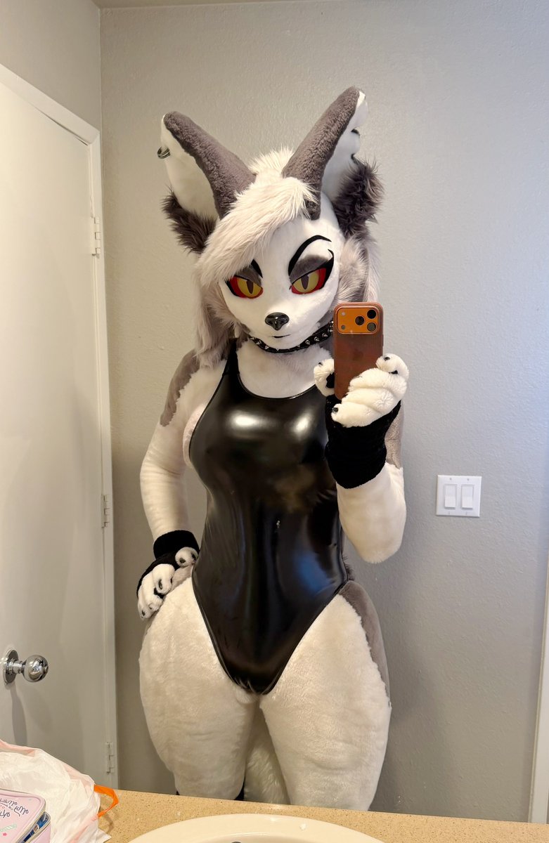 ✨ Phoebe 🐭✨ 🔜 LVFC, FWA tweet media