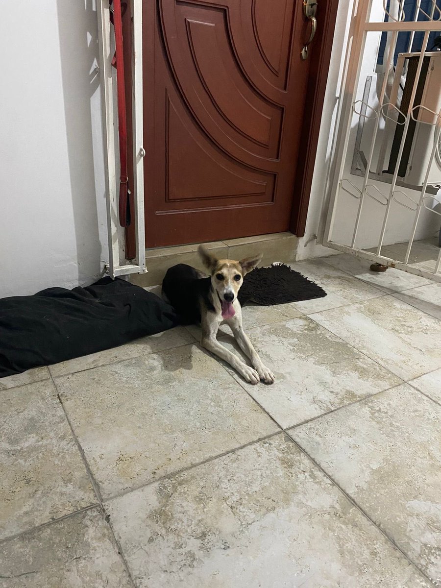 Radar_Abierto tweet media