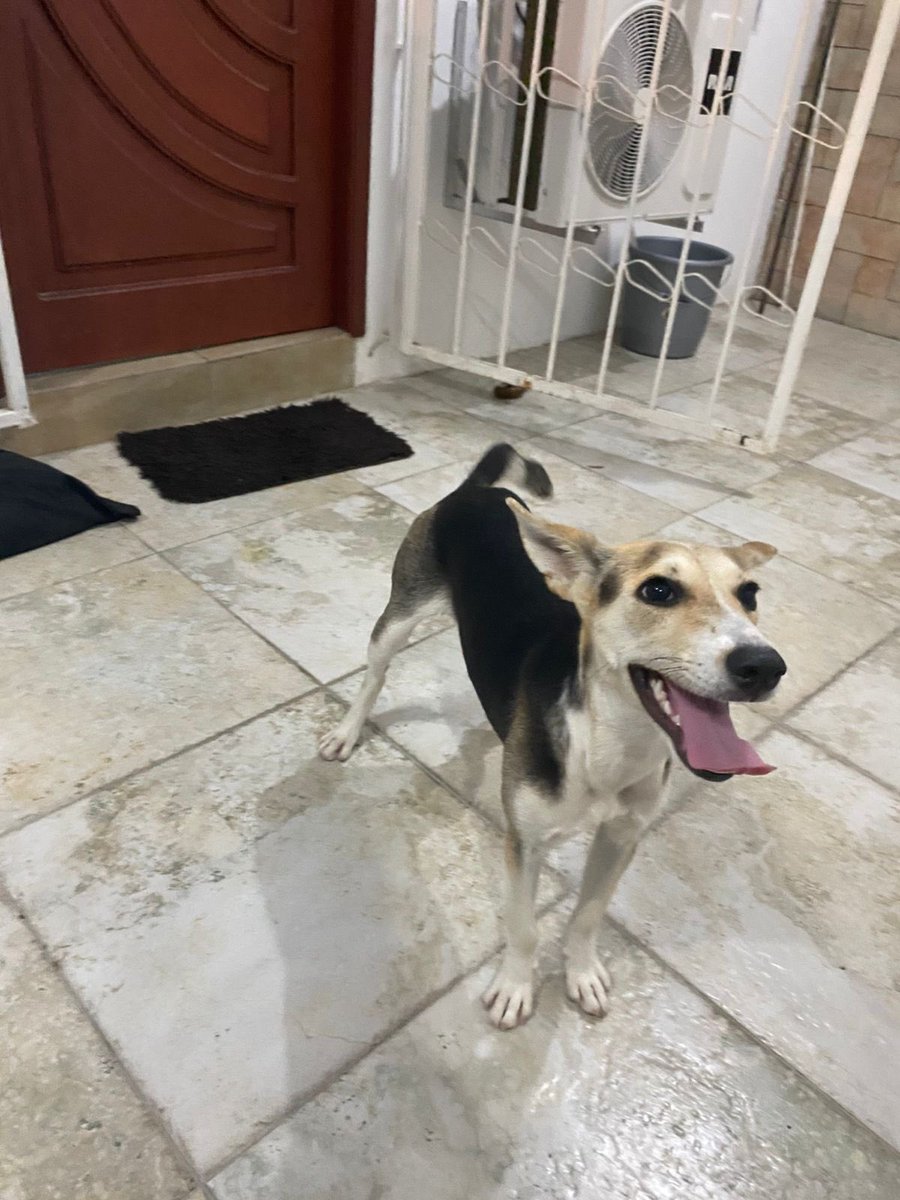 Radar_Abierto tweet media