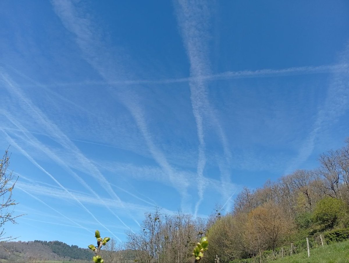 Dan Stevens tweet media